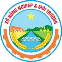 Trang chủ